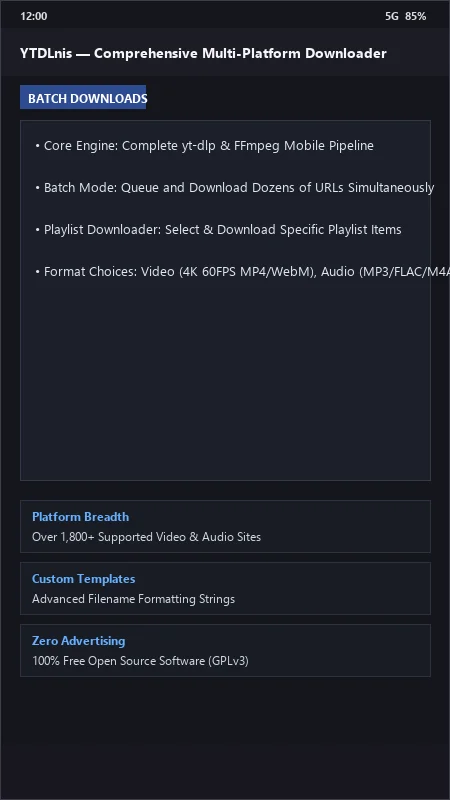 YTDLnis: Multi-Threaded Audio & Video Downloader official screenshot preview 1